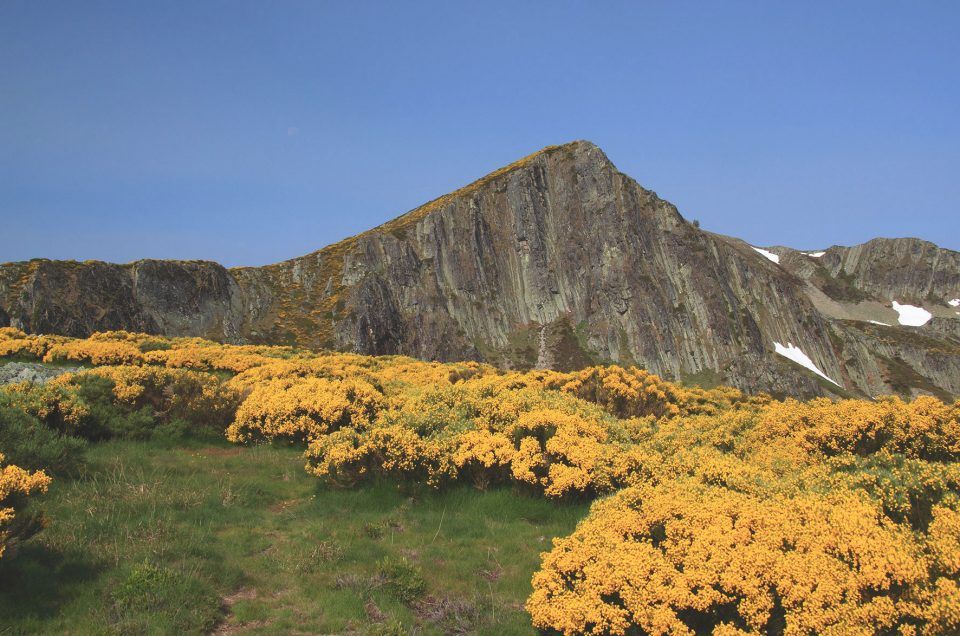 Nuevo curso de verano de la ULE en Omaña Alta: Biología de la Conservación de Flora y Fauna en la Cordillera Cantábrica
